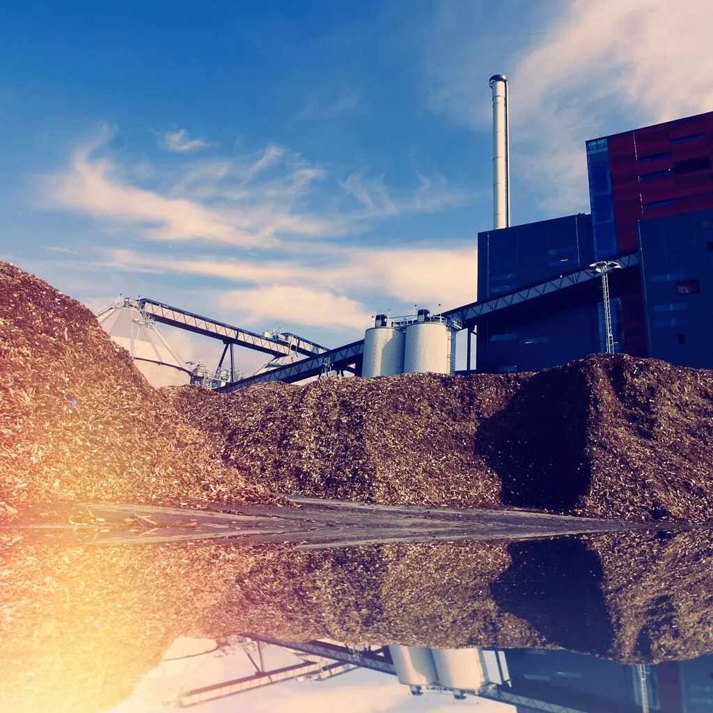 Biomass
