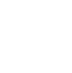 Optic image