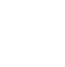 Optic image